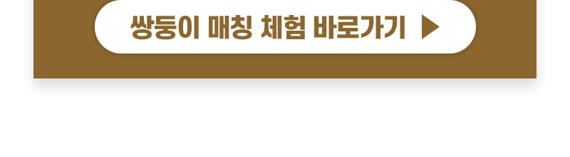 쌍둥이 매칭 체험 바로가기